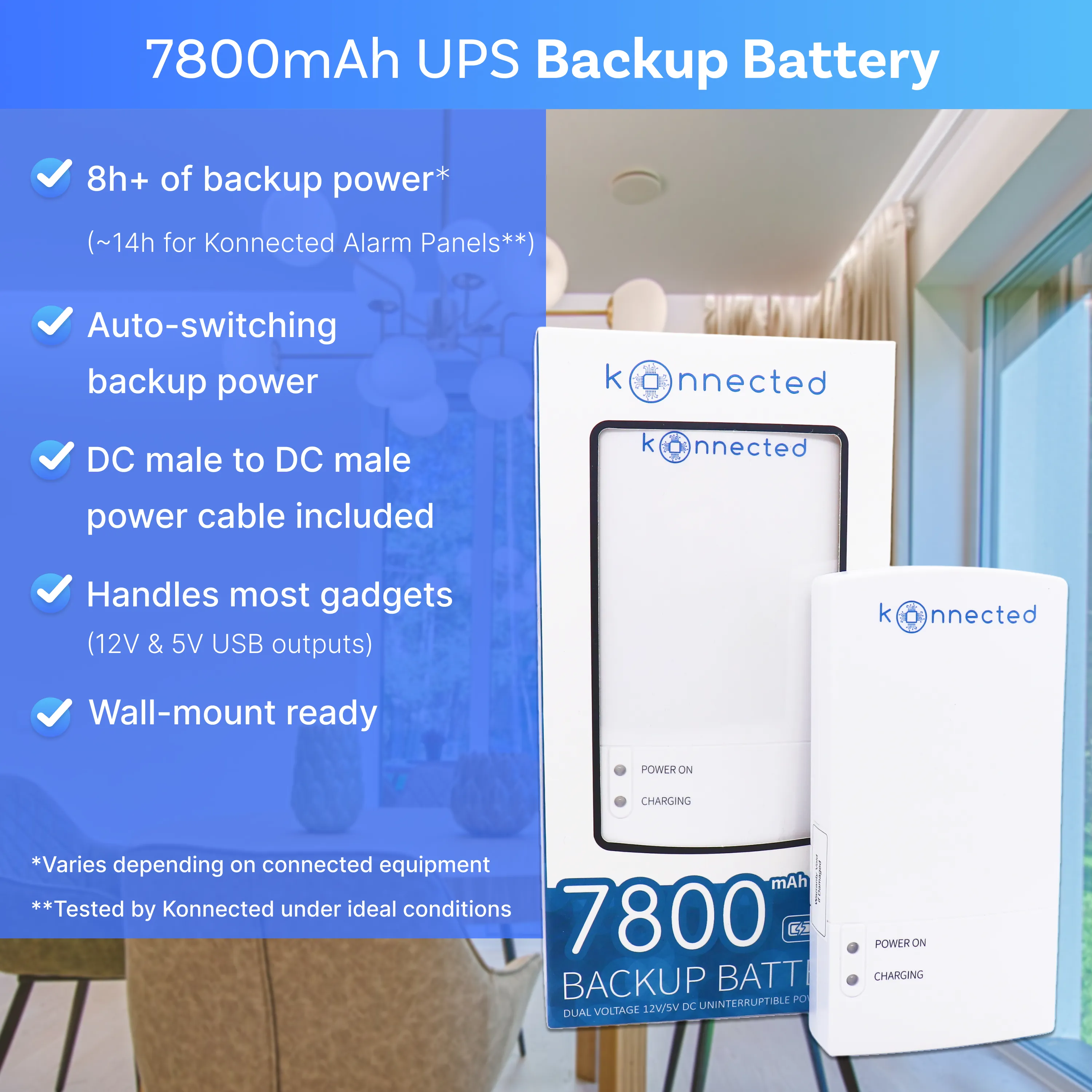 Backup Battery - Partner