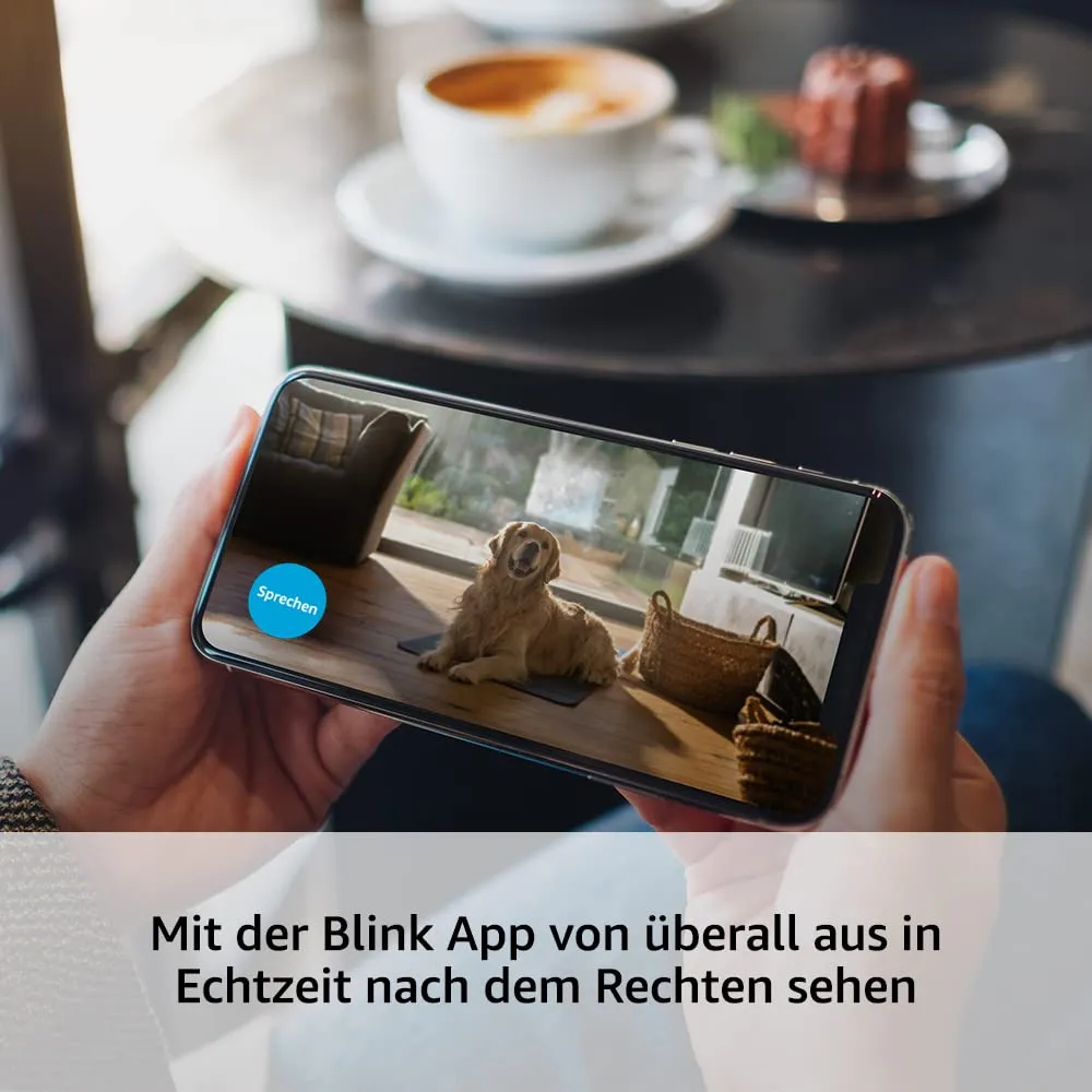 Blink Mini Indoor (Schwarz)