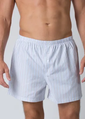 Boxer Listrada Theo