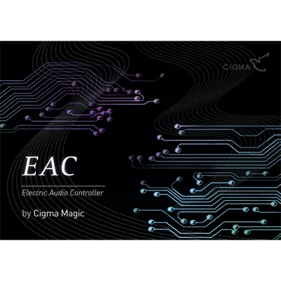 EAC (Electric Audio Controller)