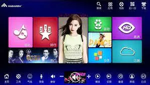 Inandon kv-503max: professional karaoke machine with built-in reverb