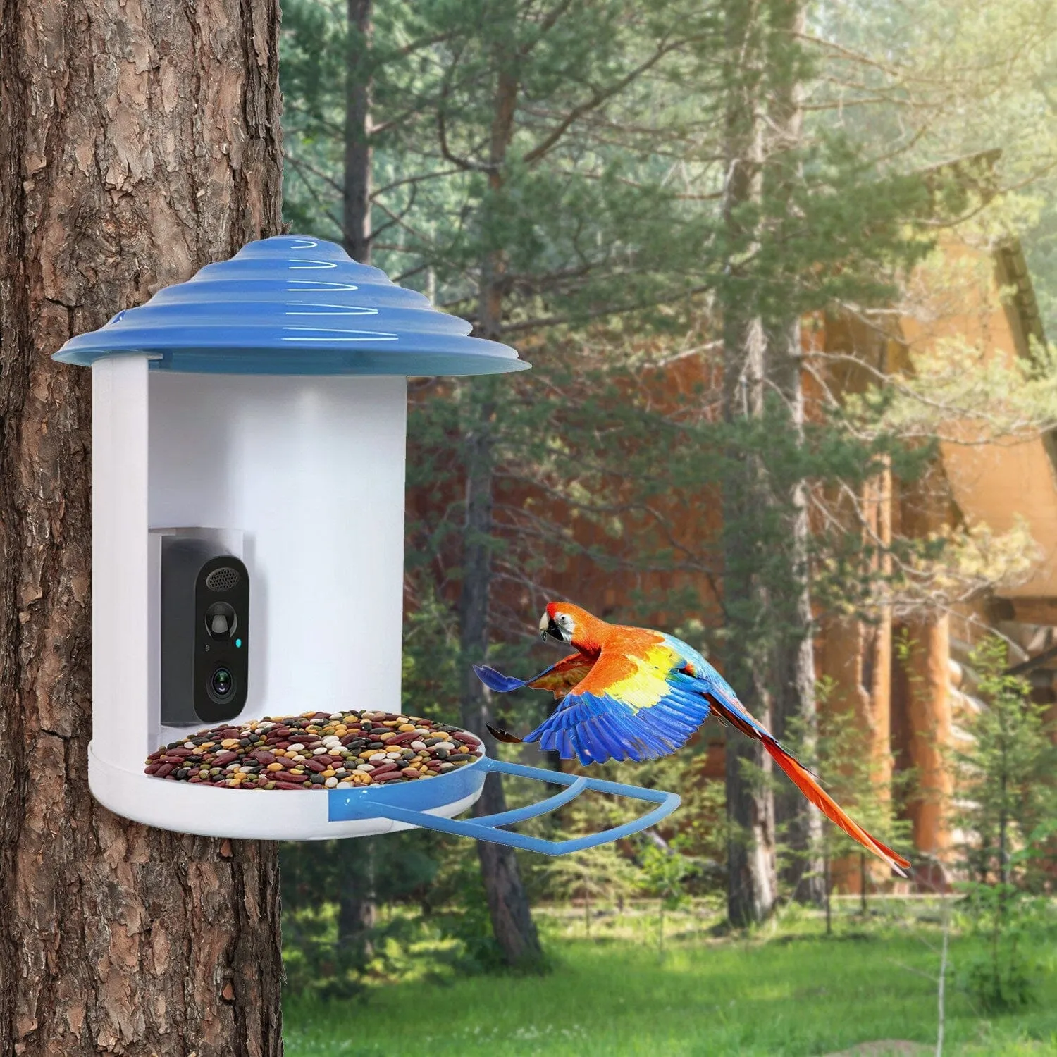 Smart Bird Feeder with Solar Powered Camera 1080P HD AI Identify PIR