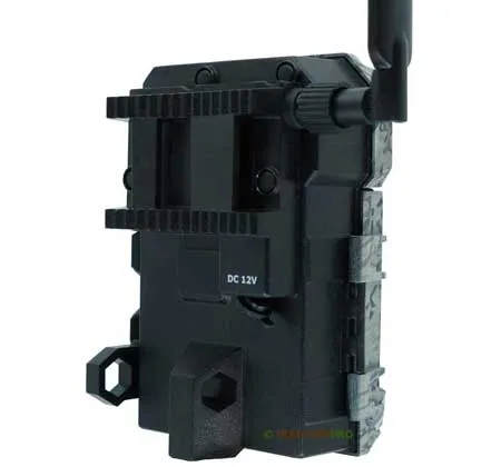 Spypoint Link-Micro-LTE (AT&T)