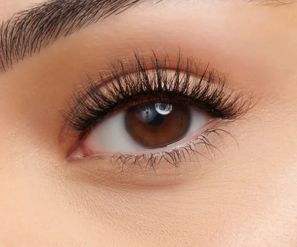 Velour Lash Plant Fibre Lash Collection: A New Leaf